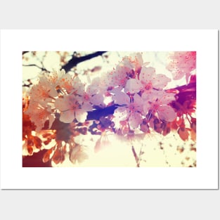 Spring flowers Posters and Art